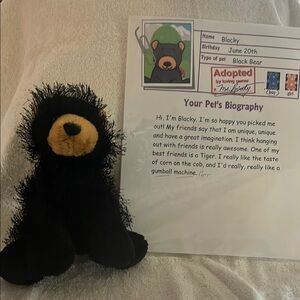 Cuddly Black and Tan Stuffed Bear Toy